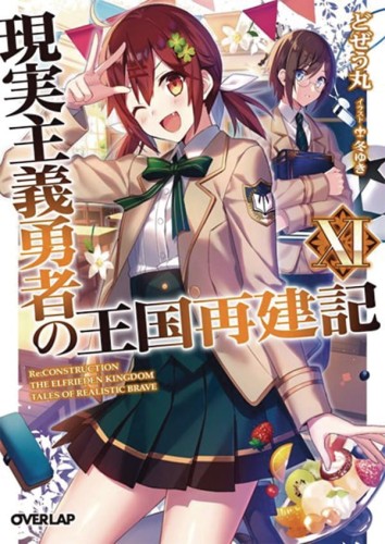 HOW REALIST HERO REBUILT KINGDOM LIGHT NOVEL 11 (9781648270857)