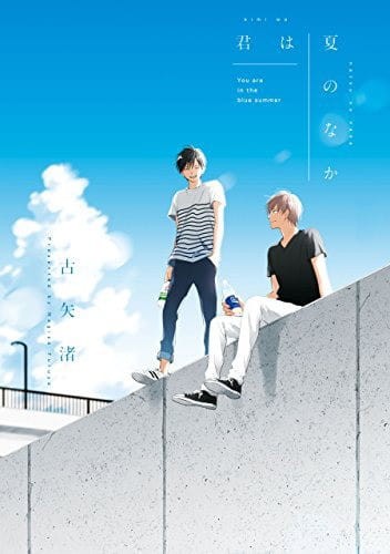 SUMMER OF YOU GN VOL 01 (OF 2) (9781646512041)