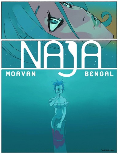 NAJA HC (9780991332403)