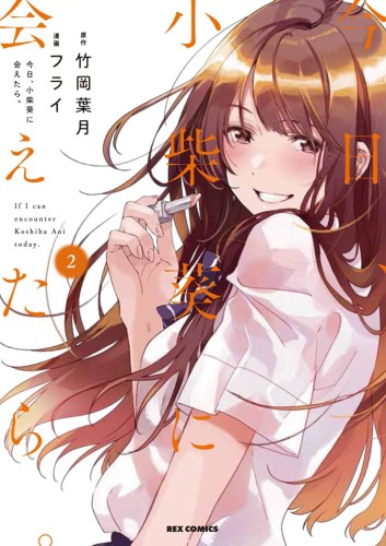 CHASING AFTER AOI KOSHIBA GN VOL 02 (9781646511884)
