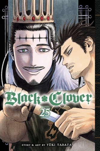 BLACK CLOVER GN VOL 25 (9781974721818)