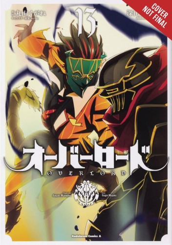 OVERLORD GN VOL 13 (9781975323097)