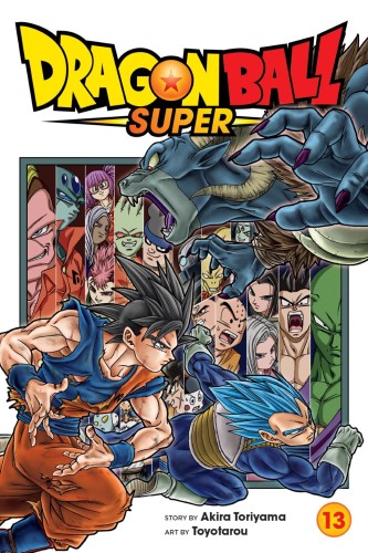 DRAGON BALL SUPER GN VOL 13 (9781974722815)