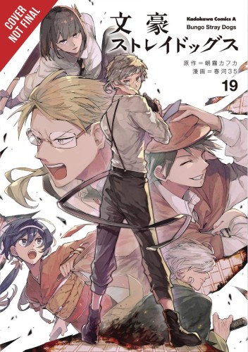 BUNGO STRAY DOGS GN VOL 19 (9781975322465)