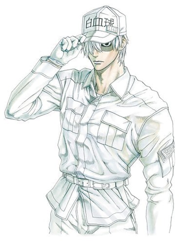 CELLS AT WORK GN VOL 06 (9781632364272)
