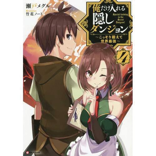 HIDDEN DUNGEON ONLY I CAN ENTER LIGHT NOVEL 04 (9781648272219)