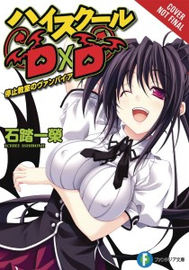 HIGH SCHOOL DXD LIGHT NOVEL SC VOL 04
