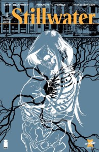 STILLWATER BY ZDARSKY & PEREZ #1 2ND PTG