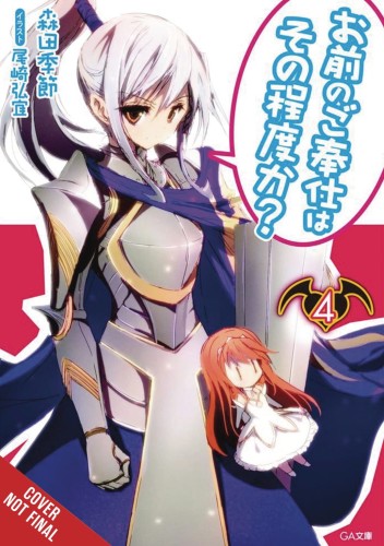 YOU CALL THAT SERVICE LIGHT NOVEL SC VOL 04 (9781975325046)