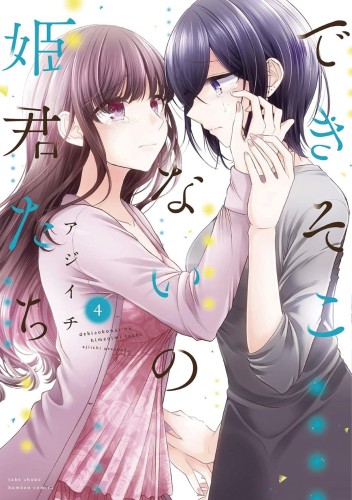 FAILED PRINCESSES GN VOL 04 (9781648272875)