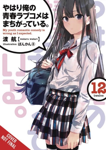 YOUTH ROMANTIC COMEDY WRONG EXPECTED NOVEL SC VOL 12 (9781975324995)