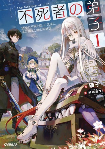 DISCIPLE OF LICH NOVEL SC VOL 01 (9781648275524)