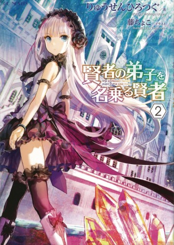 SHE PROFESSED HERSELF PUPIL OF WISE MAN LIGHT NOVEL 02 (9781648274411)
