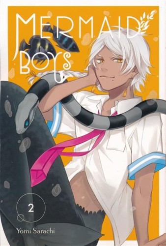 MERMAID BOYS GN VOL 02 (9780316480970)
