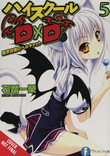 HIGH SCHOOL DXD LIGHT NOVEL SC VOL 05 (9781975312336)