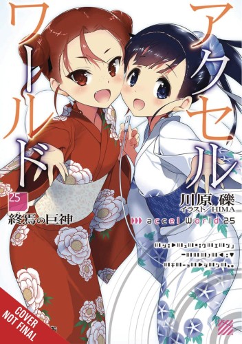 ACCEL WORLD LIGHT NOVEL SC VOL 25 (9781975335083)