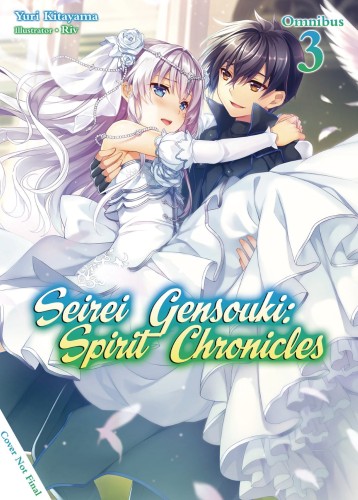 SEIREI GENSOUKI SPIRIT CHRONICLES OMNIBUS NOVEL 03 (9781718328822)