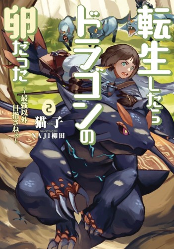 REINCARNATED AS A DRAGON HATCHLING LIGHT NOVEL SC VOL 02 (9781648276095)