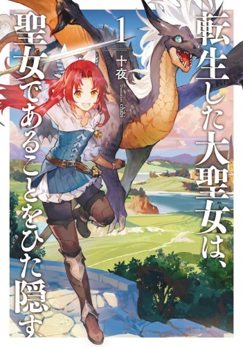 A TALE OF SECRET SAINT LIGHT NOVEL SC VOL 01 (9781648276460)