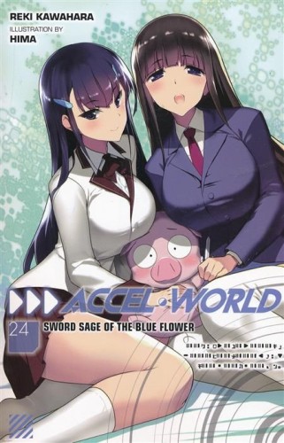 ACCEL WORLD LIGHT NOVEL SC VOL 24 (9781975321338)