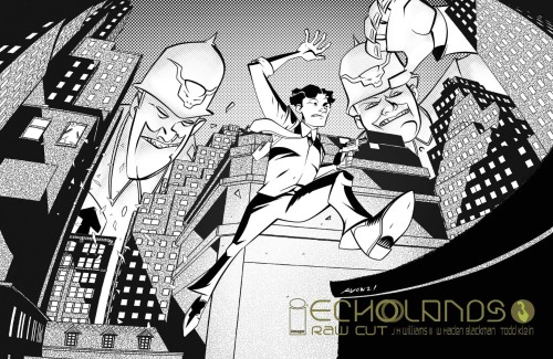 ECHOLANDS RAW CUT ED #3 CVR B OEMING & SOMA