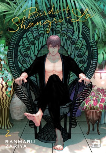 BIRDS OF SHANGRI-LA GN VOL 02 (9781974723683)