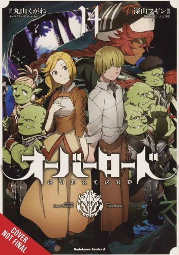 OVERLORD GN VOL 14 (9781975323356)
