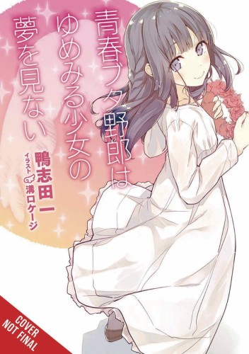 RASCAL DOES NOT DREAM OF DREAMING GIRL LIGHT NOVEL SC (9781975312626)