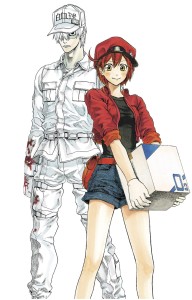 CELLS AT WORK COMP BOX SET