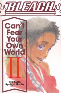 BLEACH CANT FEAR YOUR OWN WORLD LIGHT NOVEL SC VOL 02