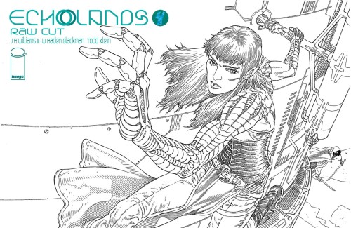 ECHOLANDS RAW CUT ED #4 CVR B RODRIGUEZ