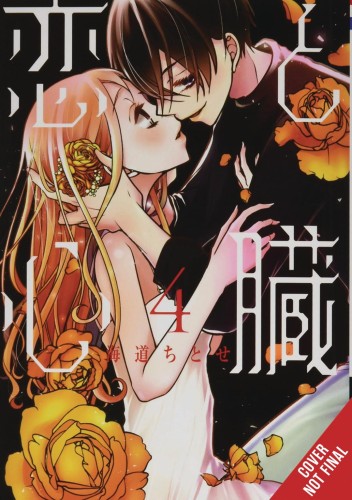 LOVE & HEART GN VOL 04 (9781975320485)