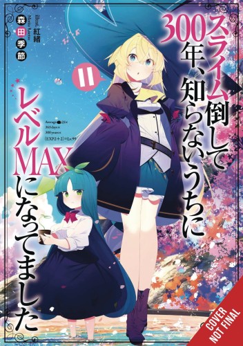 IVE BEEN KILLING SLIMES 300 YEARS NOVEL SC VOL 11 (9781975339791)