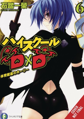 HIGH SCHOOL DXD LIGHT NOVEL SC VOL 06 (9781975312350)