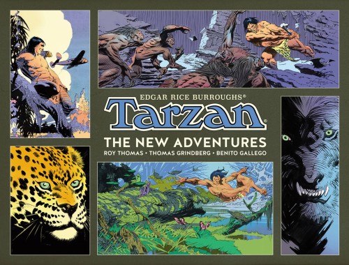 TARZAN THE NEW ADVENTURES HC (9781506718064)