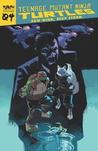 TEENAGE MUTANT NINJA TURTLES REBORN TP VOL 04 SOW WIND REAP STORM