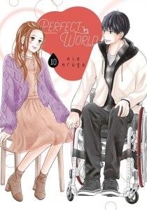 PERFECT WORLD GN VOL 10