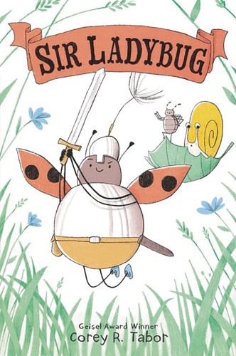 SIR LADYBUG HC GN VOL 01 (9780063069060)