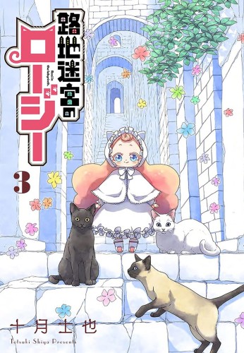 ROZI IN THE LABYRINTH GN VOL 03 (9781648273766)