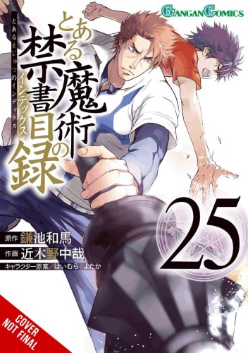 CERTAIN MAGICAL INDEX GN VOL 25 (9781975339982)