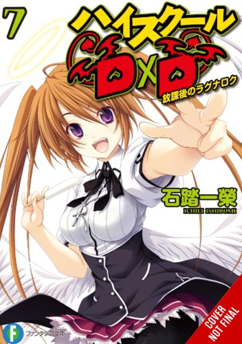 HIGH SCHOOL DXD LIGHT NOVEL SC VOL 07 (9781975312374)
