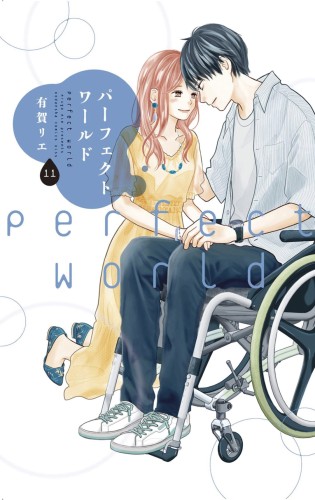 PERFECT WORLD GN VOL 11 (9781646512980)