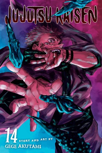 JUJUTSU KAISEN GN VOL 14 (9781974725328)