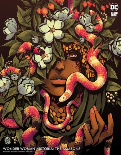 WONDER WOMAN HISTORIA THE AMAZONS #2 (OF 3) CVR B BECKY CLOONAN VAR