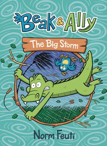 BEAK & ALLY GN VOL 03 BIG STORM (9780063021631)
