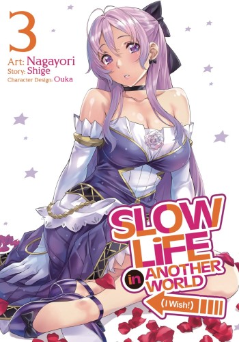 SLOW LIFE IN ANOTHER WORLD I WISH GN VOL 03 (9781638582830)
