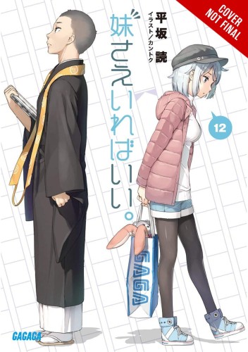 SISTERS ALL YOU NEED LIGHT NOVEL SC VOL 12 (9781975316488)