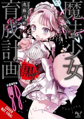 MAGICAL GIRL RAISING PROJECT LIGHT NOVEL SC VOL 13 (9781975339098)