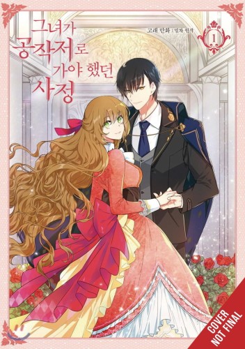 WHY RAELIANA ENDED AT DUKES MANSION GN VOL 01 (9781975341084)