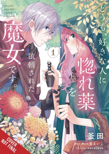 IM A WITCH MY CRUSH WANTS LOVE POTION GN VOL 01 (9781975338640)